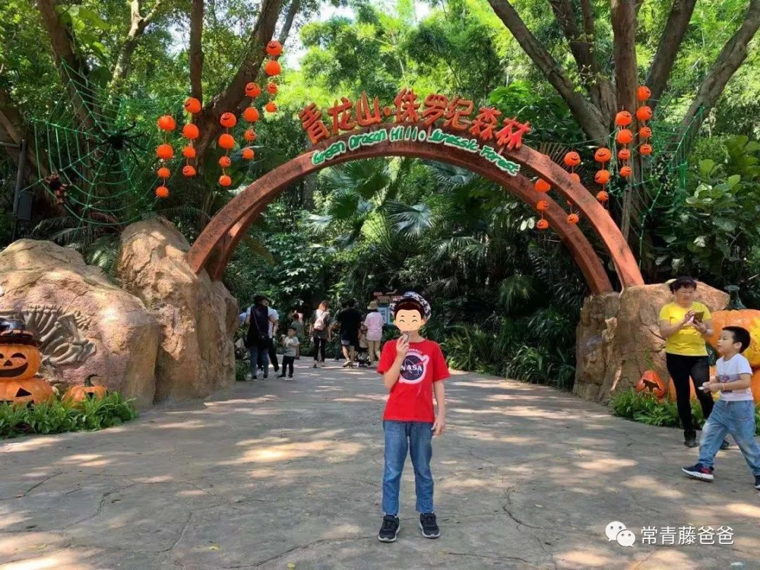 广州长隆游玩攻略水上乐园怎么去,过年去珠海长隆海洋王国游玩攻略