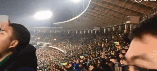 足协杯鲁能夺冠完整版,足协杯国安夺冠视频