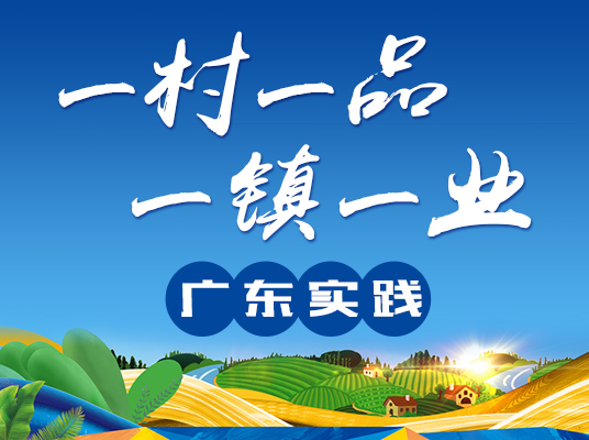 新会陈皮产业链总产值145亿元,新会陈皮年产值多少