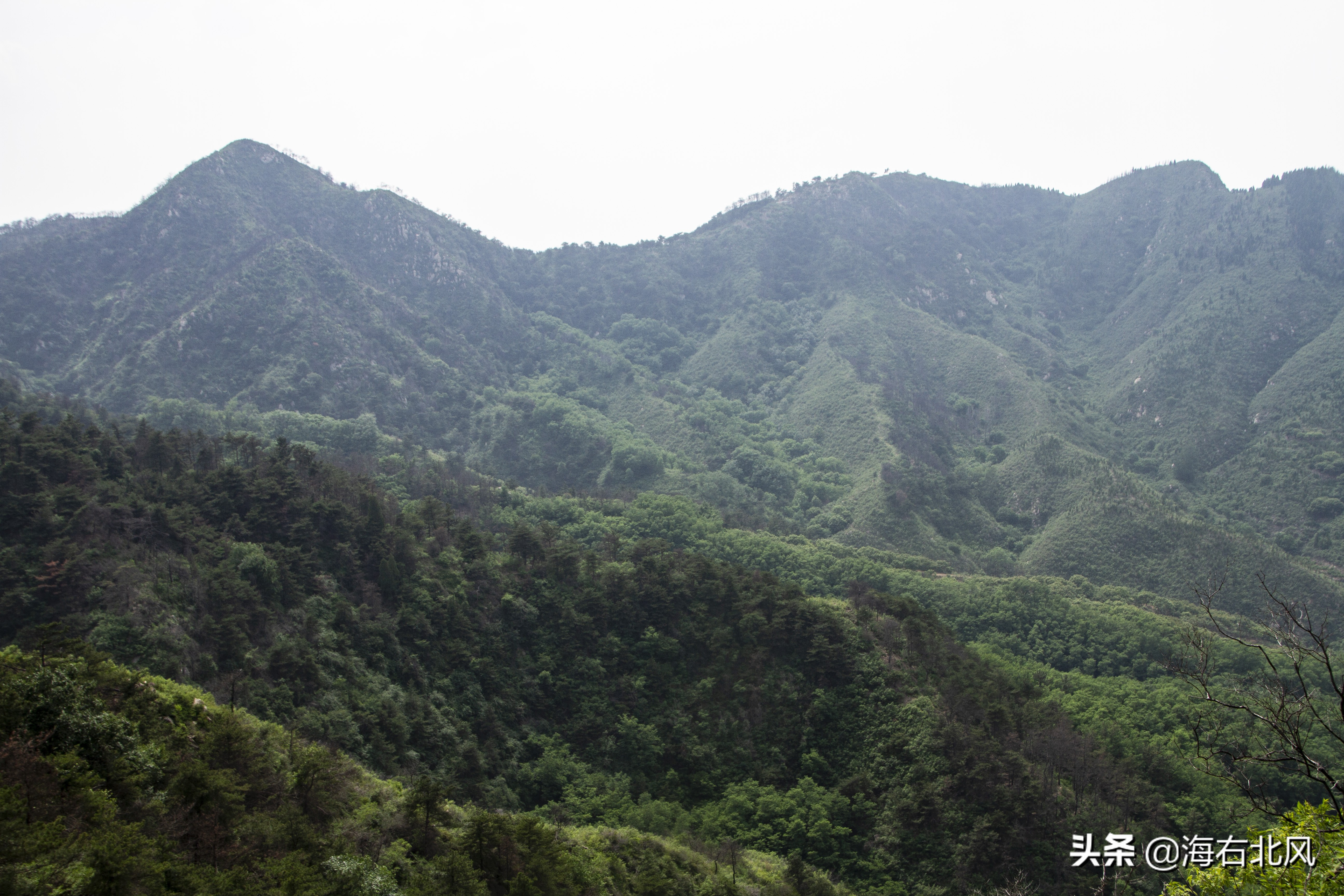 藕池镇有玩游戏的吗,藕塘周边一日游推荐