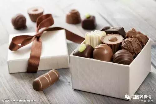 这是什么神仙巧克力?一颗要价7728欧元,全球限量1000颗