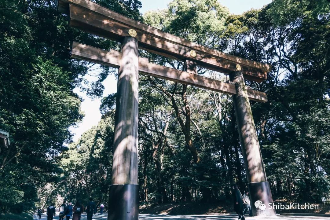 表参道和代官山的距离,表参道代官山店几点开门