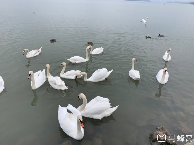 塞尔维亚游记,难忘的欧洲之旅