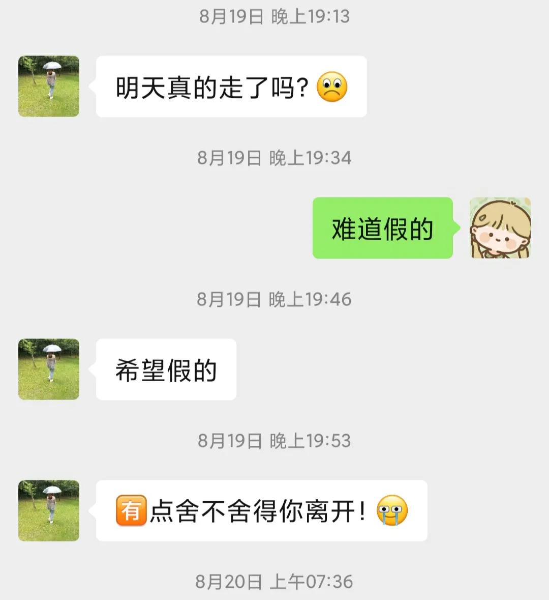 抑郁者的灵魂真面目，打造共属于我们的摇篮，等你归来，渡你回家