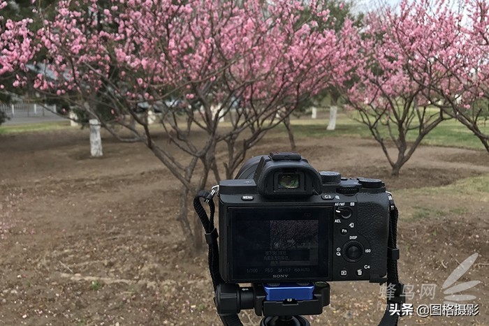 高性价比便携脚架百诺PA19AK套装试用