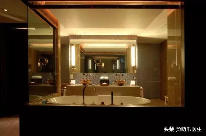 带宠物住宿酒店,带宠旅行酒店