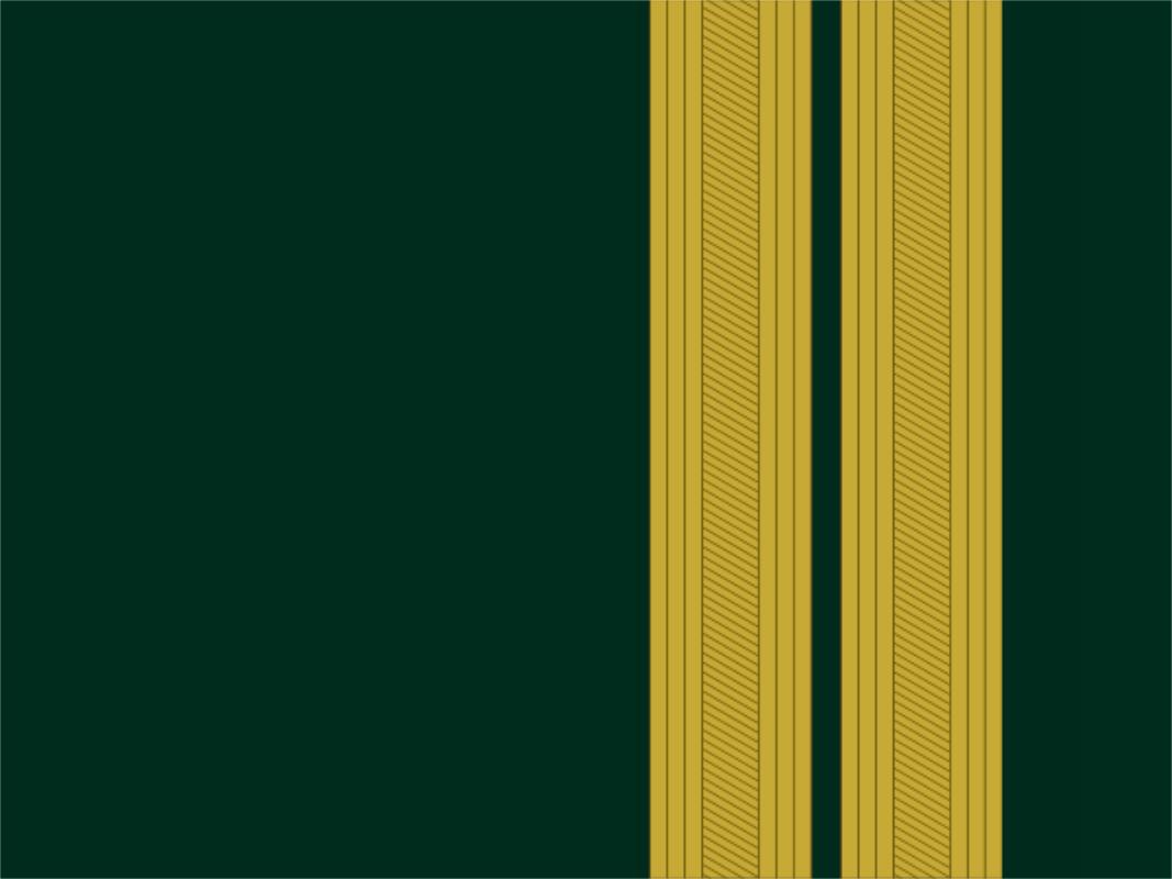 各国军队标识葡萄牙陆军,各国军衔标识葡萄牙