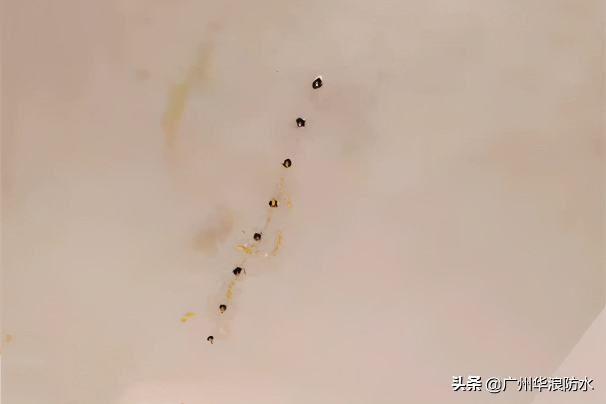 屋顶漏水怎么办雨虹防水,雨虹防水可以处理漏水问题吗