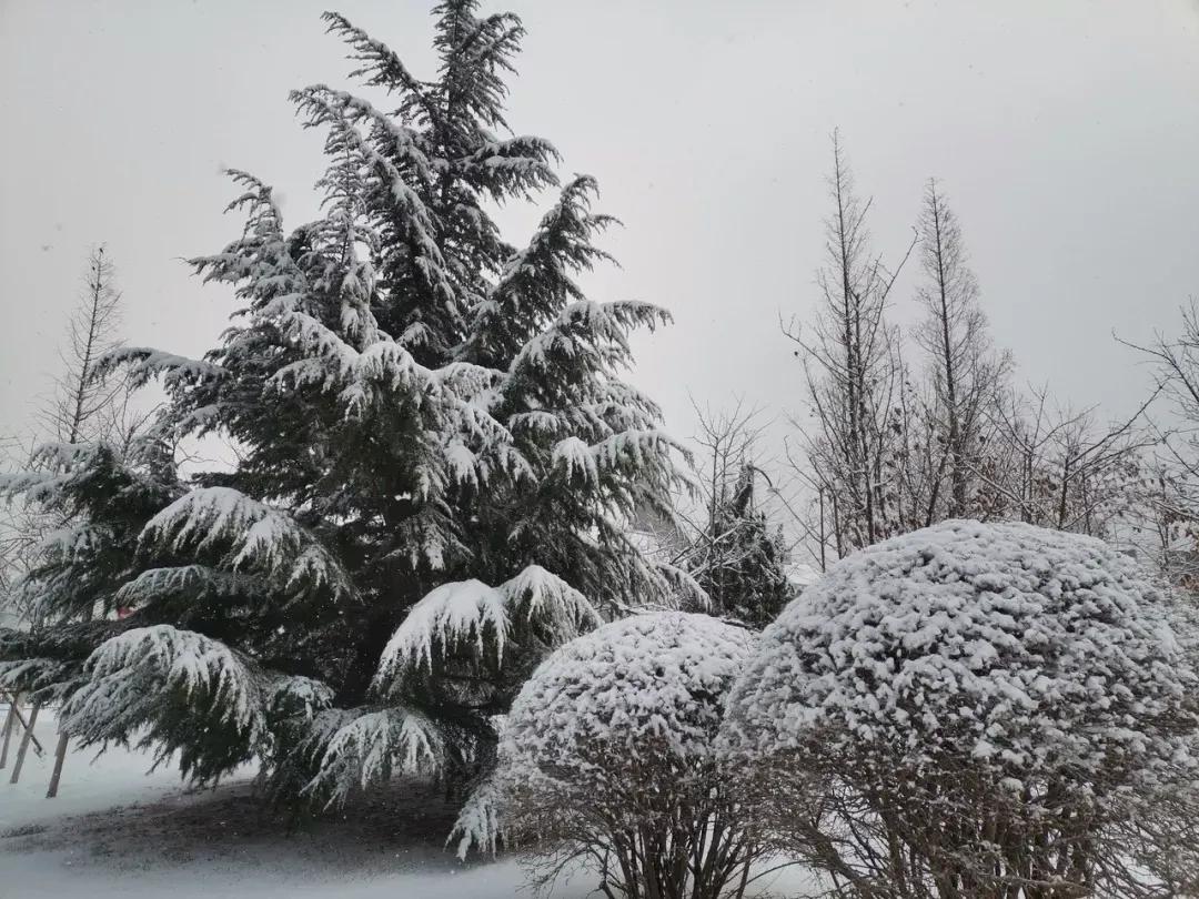 辽宁大连民办大学,大连辽宁二本大学