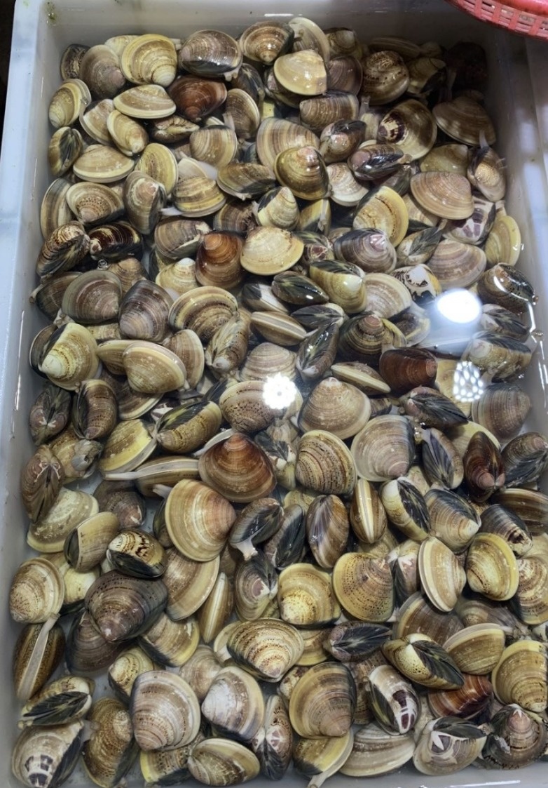 去北海在哪里买海鲜比较划算,北海的海鲜便宜还是防城港的便宜