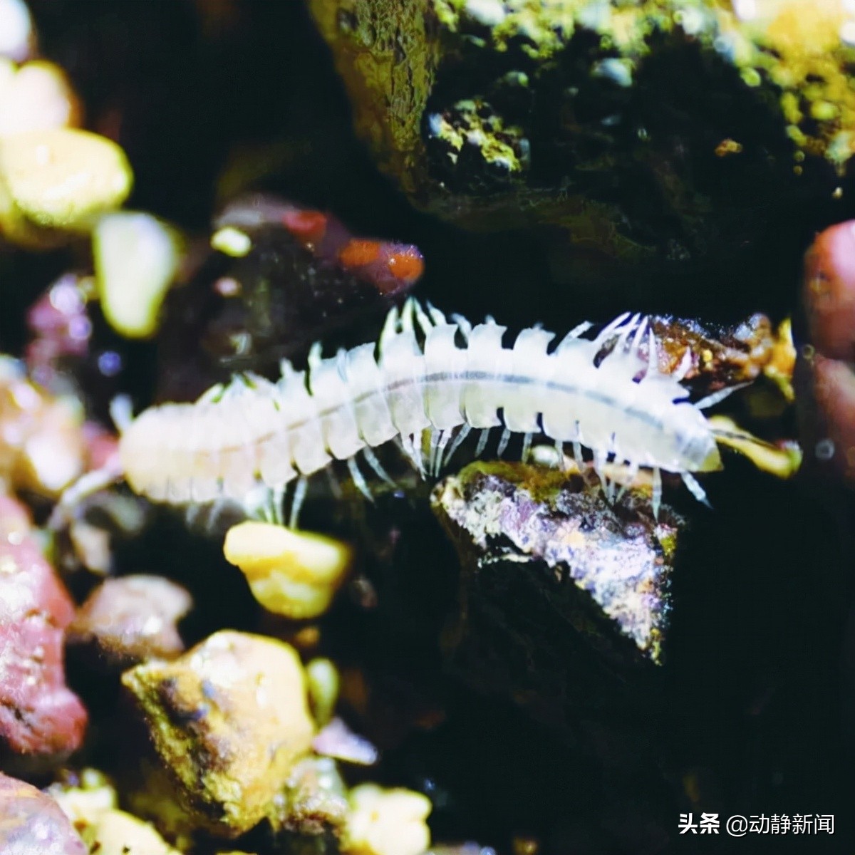 研于山海间学在黔西南