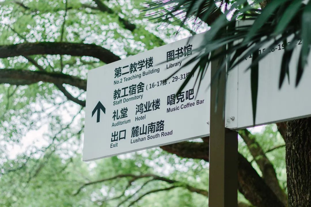 高考中南大学,高考结束来看看学生们的分数