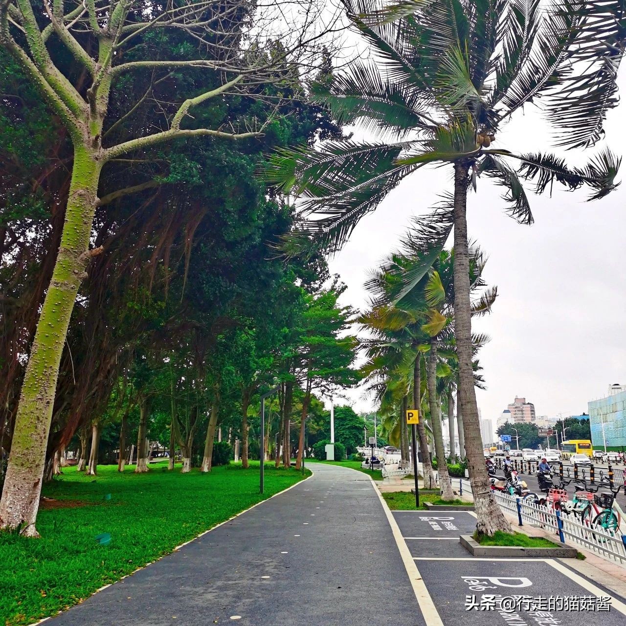 第一次去海南,海南旅游哪里的海鲜最实惠