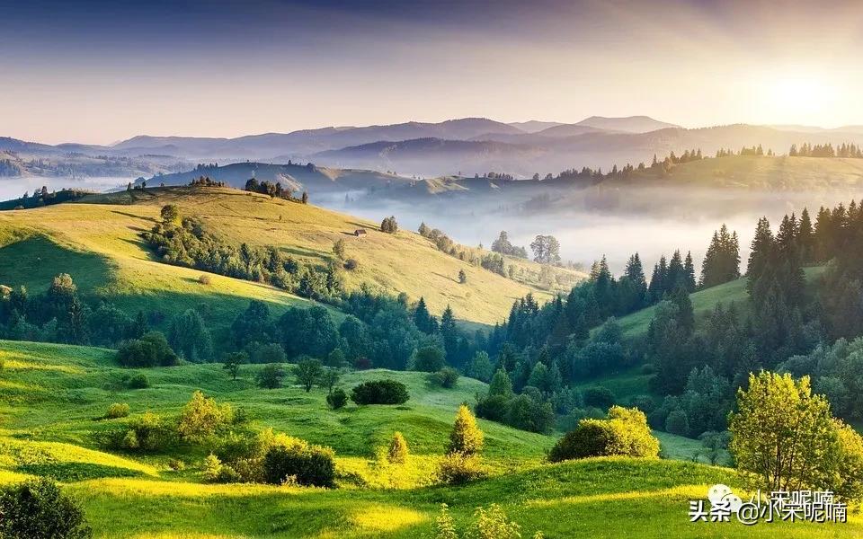 自媒体微信公众号名称可以修改吗,自媒体怎么注册微信公众号