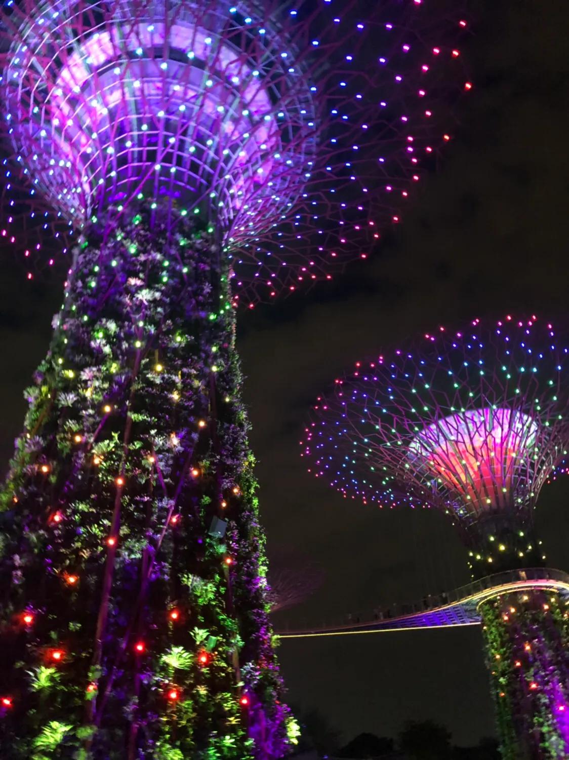 新加坡经典一日游,新加坡一日游必去景点