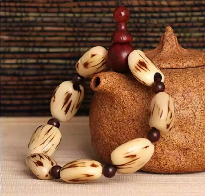 最全的菩提子图解太美了,最好的菩提子