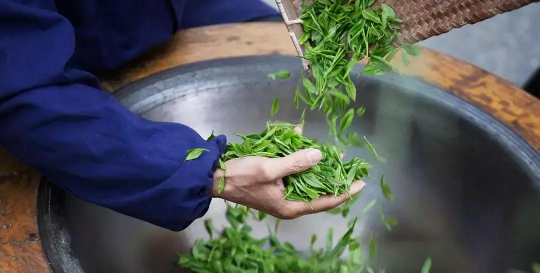 历史上的名茶有哪些,长见识的茶