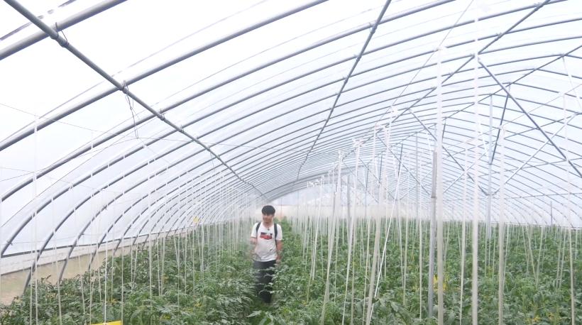 农作物叶面喷肥的危害,叶面肥喷的次数多了有药害吗