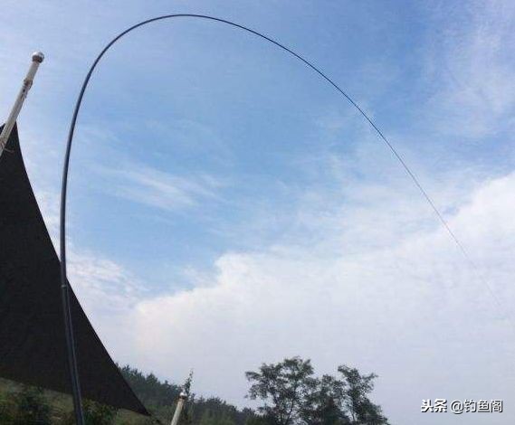 一两百左右的鱼竿可以钓20斤的鱼,一两百有哪些好鱼竿