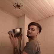 捕捉蜘蛛器,引诱蜘蛛神器