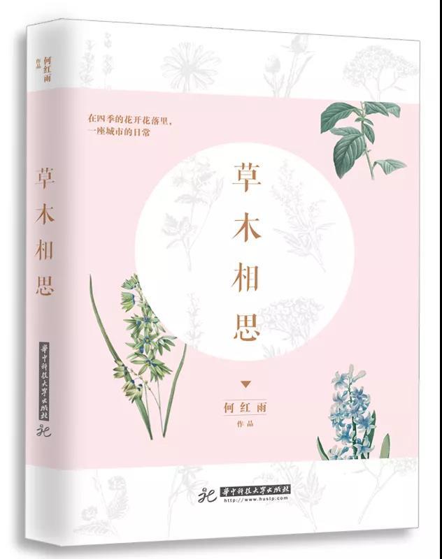 感恩节黑五买纽百伦,0元购5折惠享免单