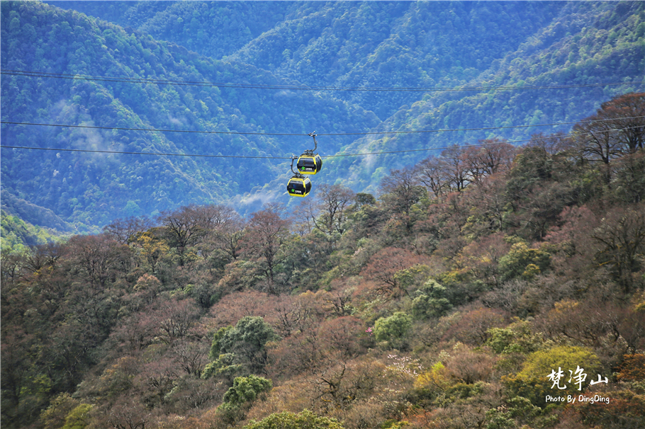 神奇的梵净山真正的天空之镜,梵净山金顶旅行真实感受