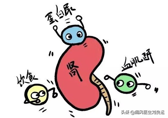 痛风引起的肌酐高怎么治疗,痛风肌酐高需要看肾内科吗