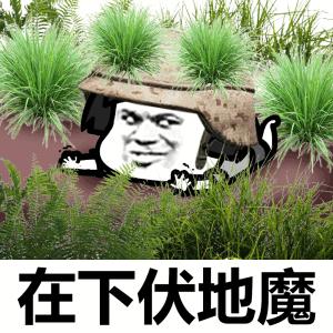 吉利服的克星是哪些,吉利服三大禁忌