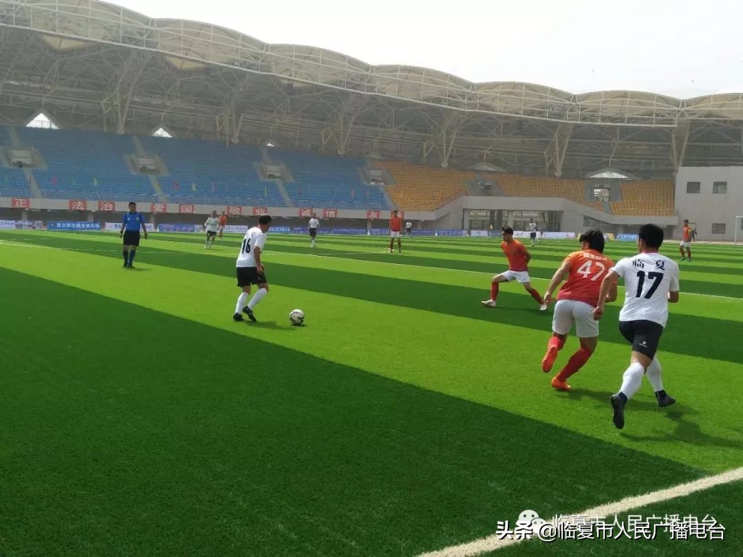 2021河州牡丹文化月系列活动,2019河州牡丹文化节