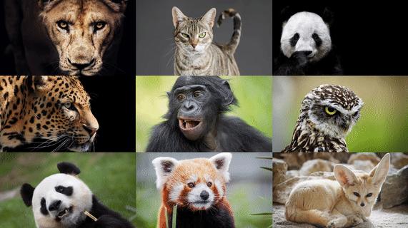 ppt排版设计技巧ppt制作培训教程,ppt优秀的图文排版案例