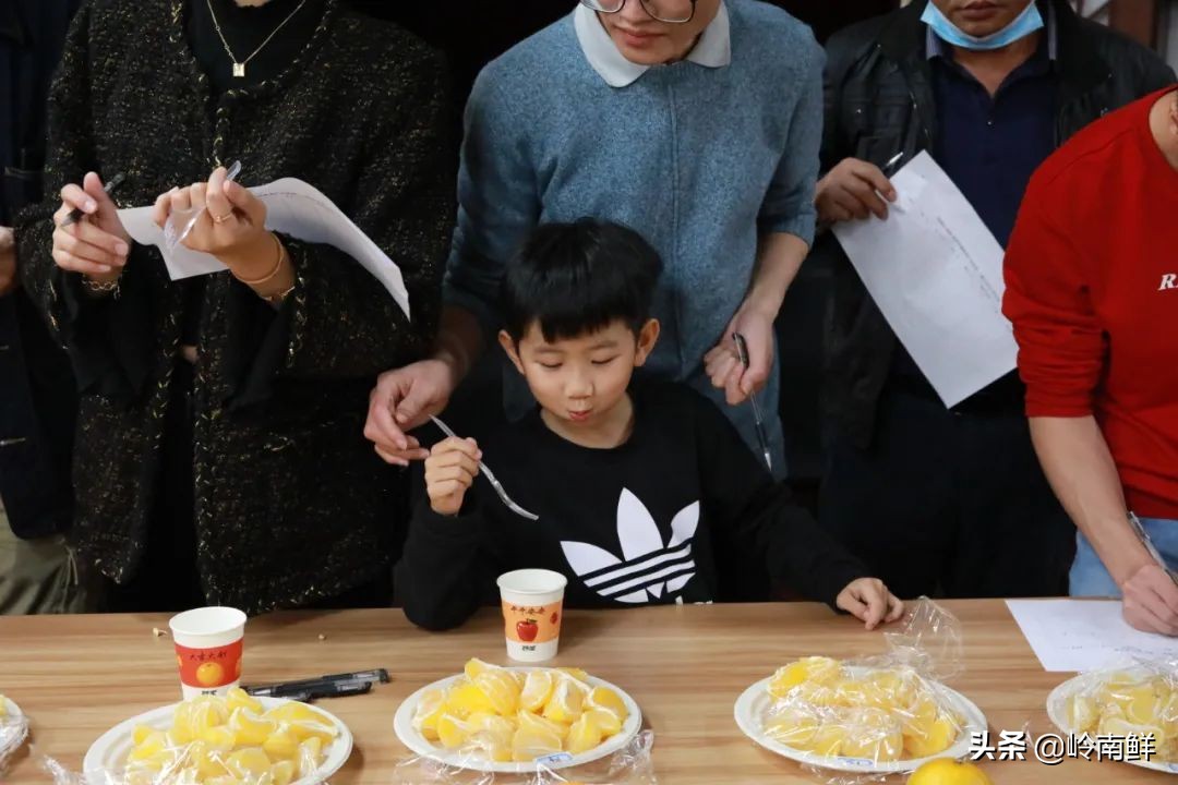 柑橘能吃出菠萝味？带你体验种植匠2020冬季柑橘橙测评