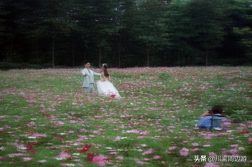 俄么塘花海景区游玩,俄么塘花海攻略2018