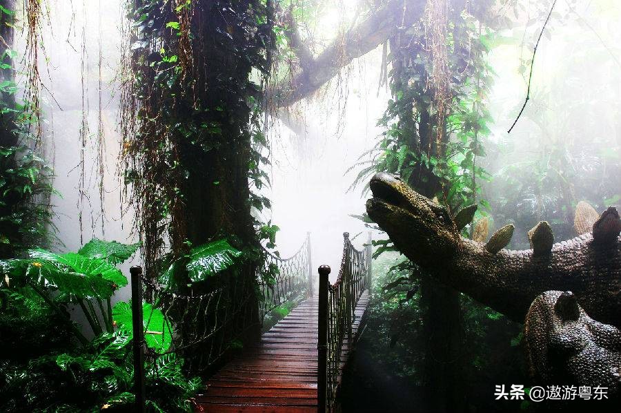 深圳南山区青青世界视频,青青世界深圳热带雨林