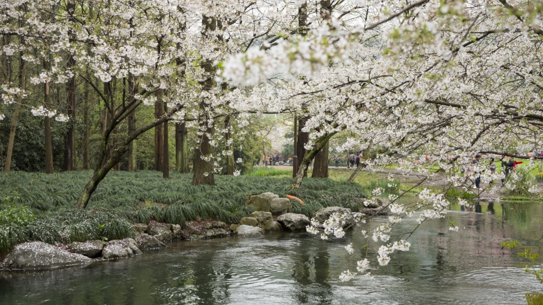 为什么一个人总想出去旅游,总想去旅游是怎么回事
