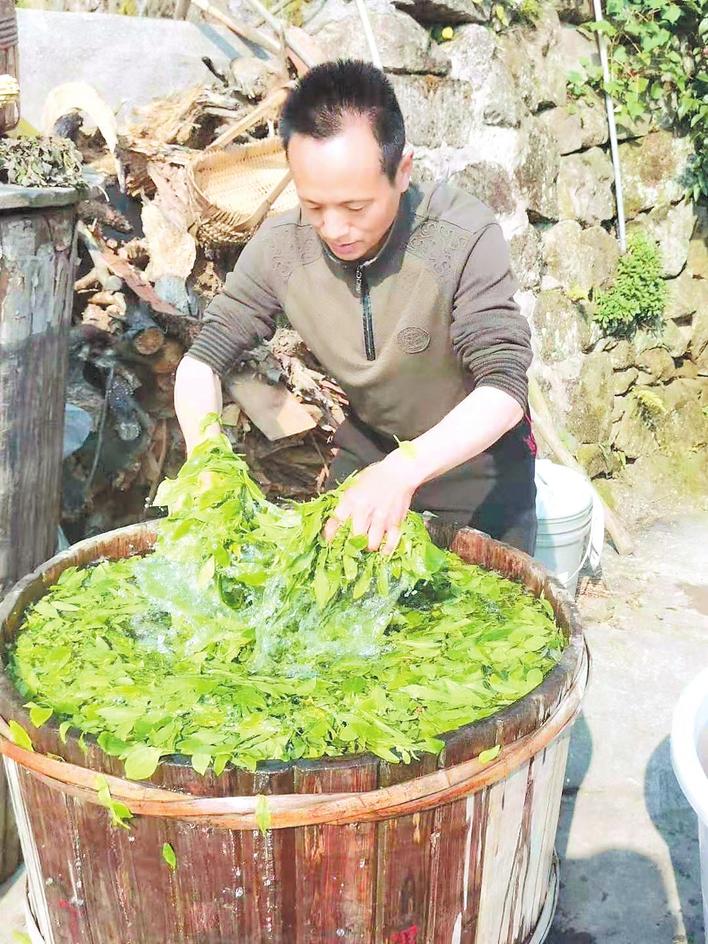 平江烟茶图片大全,平江本地烟茶