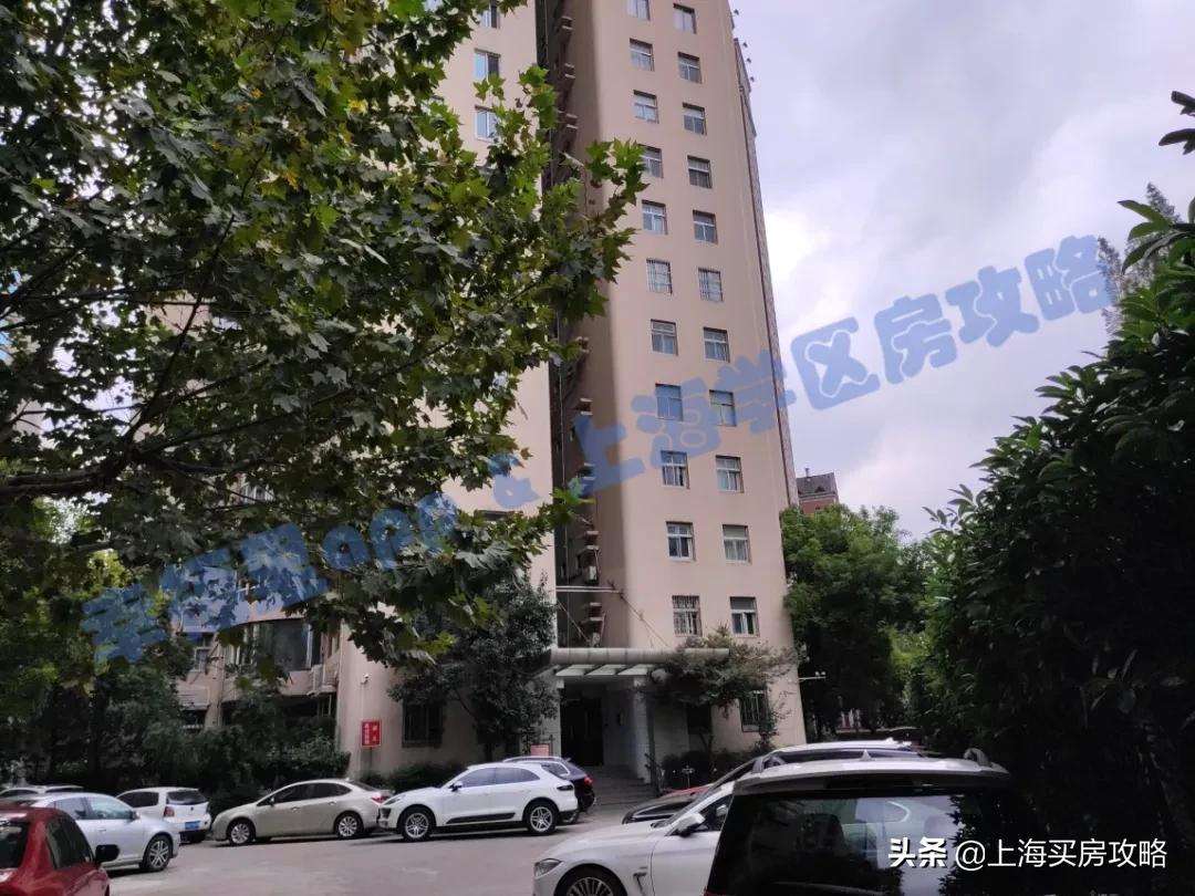 徐汇四大公办小学对比,上海汇师小学和分校