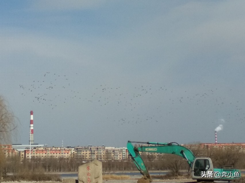 吉林市松花江生态旅游风景区,吉林松花江湿地公园