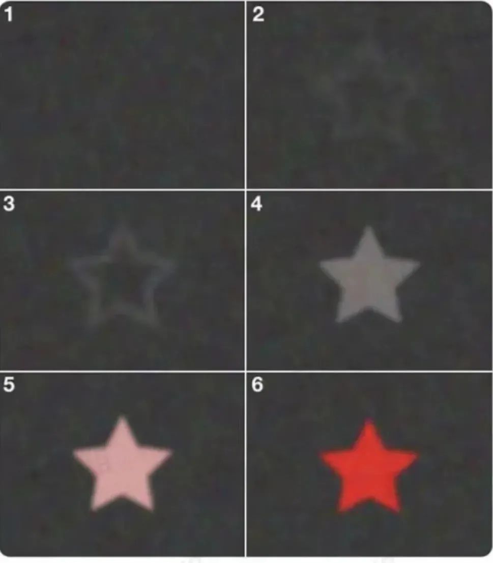 关于科比你不知道的24件事,科比出乎意料的一件事