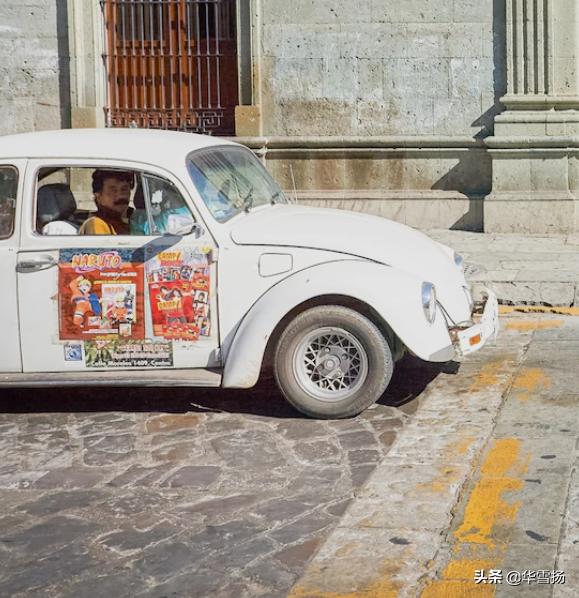 在这里你可以看到绚烂多彩的甲壳虫,因为他们是这里的精灵