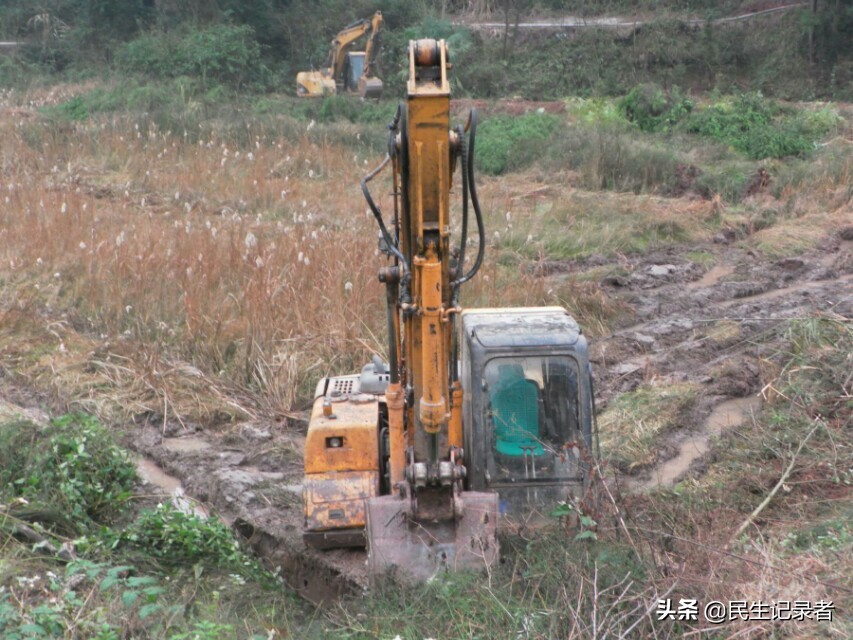 现代化养殖创业,养殖到销售如何形成产业链