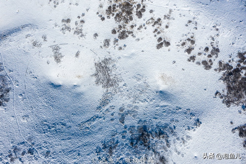 陕西秦岭发现的石头,捡石头下雪了后续