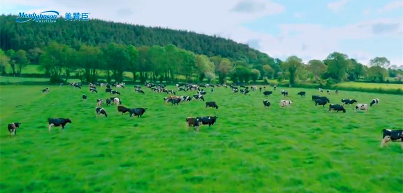 疫情期间港版奶粉,疫情期间香港牛栏牌奶粉