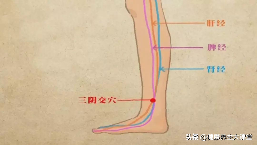 女人养生常按三阴交