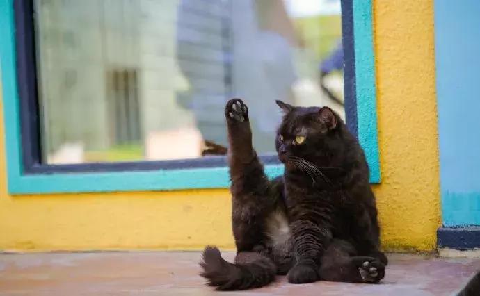 年纪大了老忘事语言表达也不利索,年龄大了忘事怎么办视频