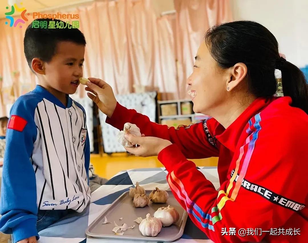 寻一抹秋色，遇一片美好：济南市启明星幼儿园的秋之美