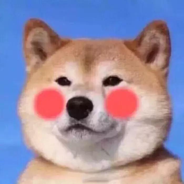 外地人眼中的海南是怎么样的,外地人眼里的海南人穷吗