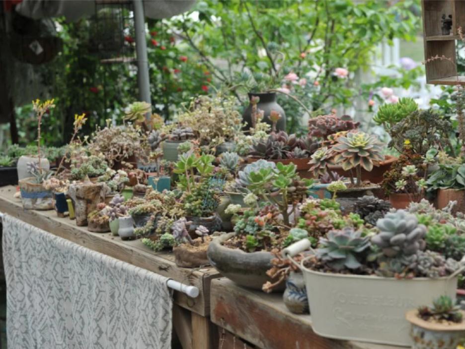 五一小众宝藏旅行地成都周边,成都旅行打卡地