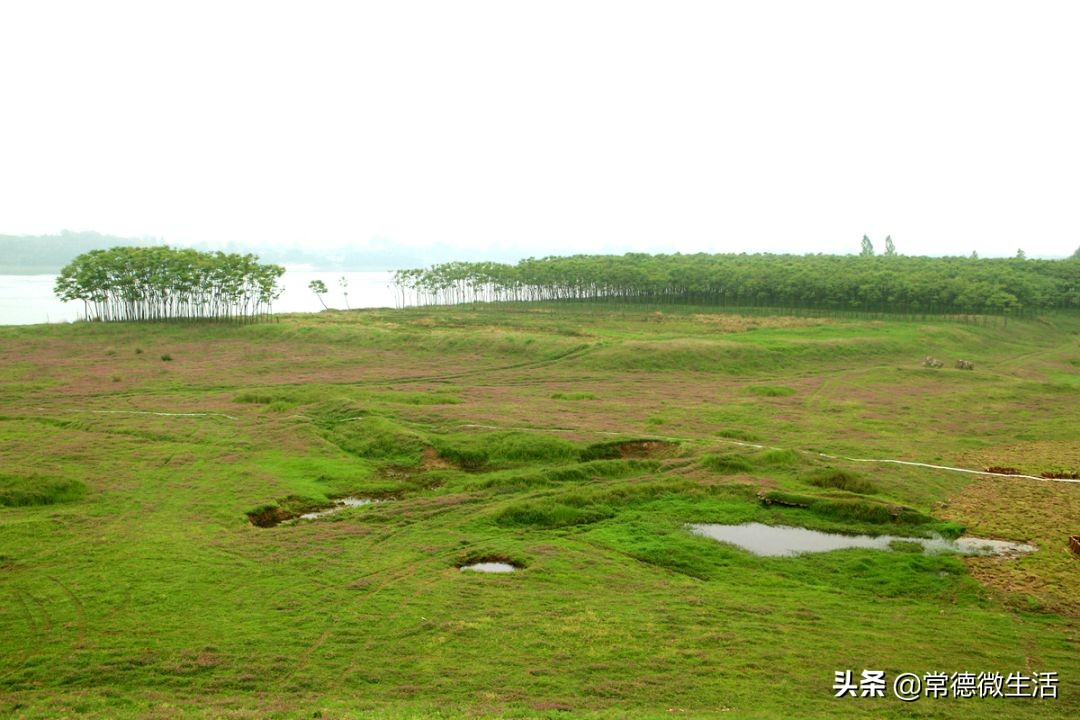 常德丹洲大草原介绍,丹洲草原风景