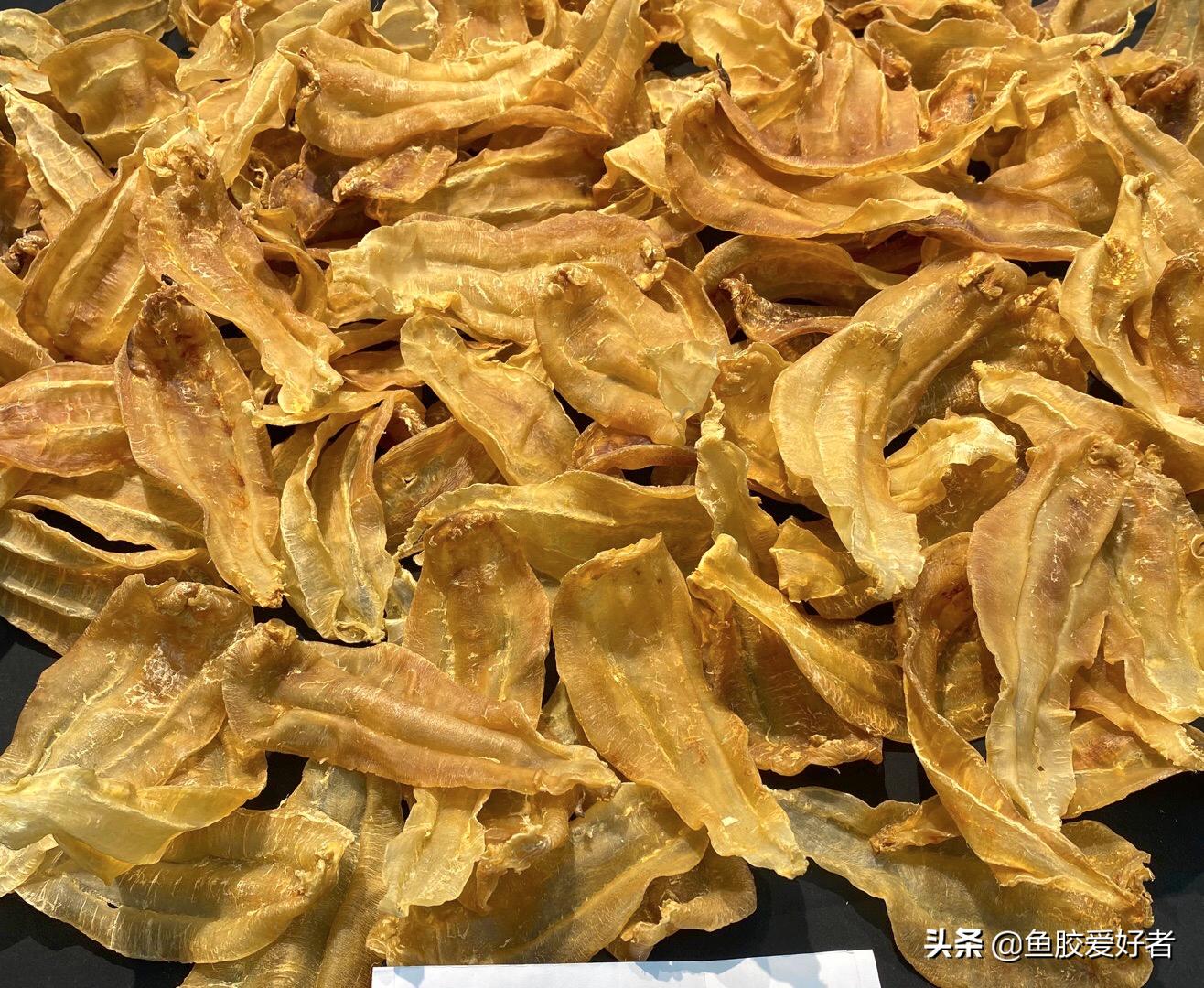 鳘鱼胶有哪些品种,赤嘴鱼胶哪个品种比较补血