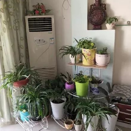 太刺激了！花了20w装修新房，结果被爸妈装成了公共厕所？